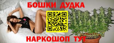 марки nbome Кингисепп