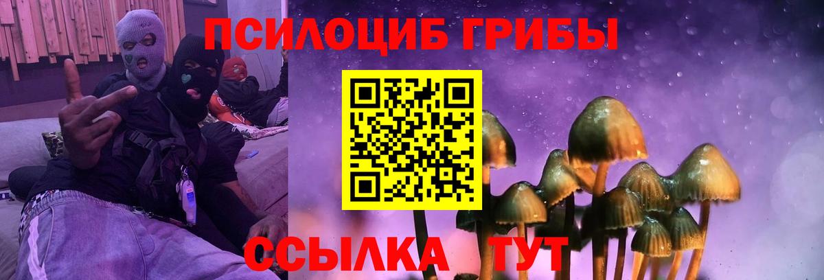 Щёлково  Псилоцибиновые грибы GOLDEN TEACHER  Вход с VPN  Псилоцибиновые грибы Psilocybine cubensis 